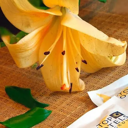 Hotel Htop Alexis #htopenjoy 3*