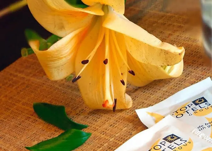 Szálloda Htop Alexis #htopenjoy 3*